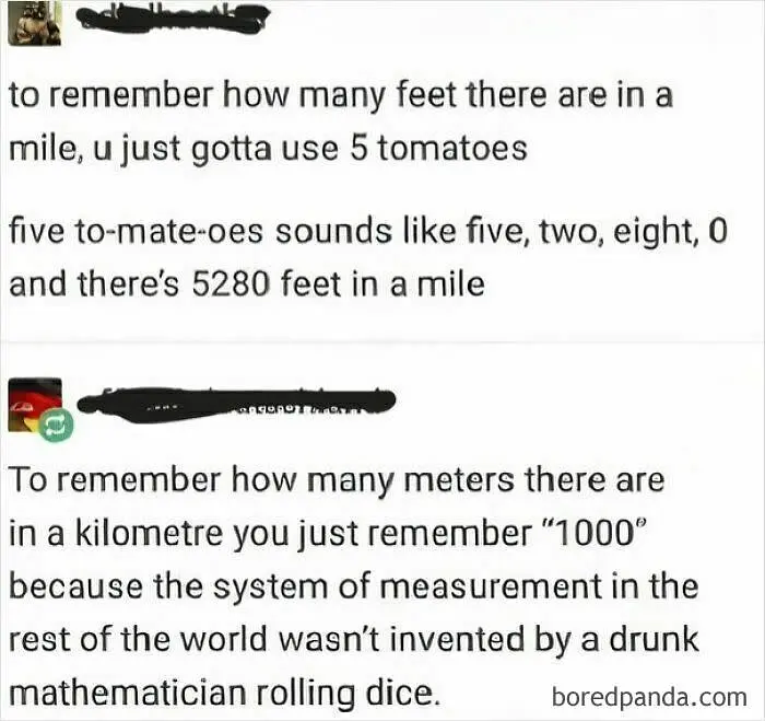 5 tomatoes for sure!
